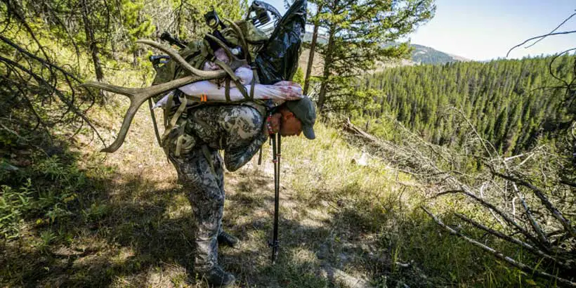 How Much Does an Elk Quarter Weigh