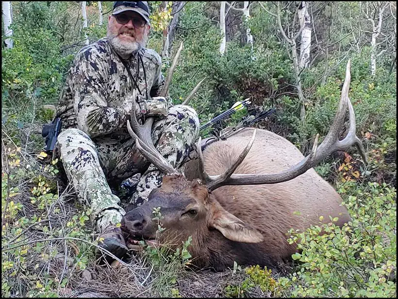 How Much Meat on An Elk