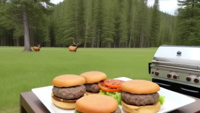 Photo of How to Cook Elk Burgers